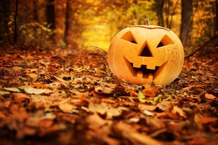 Halloween, Mindful Living Network, Mindful Living, Dr. Kathleen Hall, The Stress Institute, OurMLN.com, MLN, Alter Your Life, Pumpkin