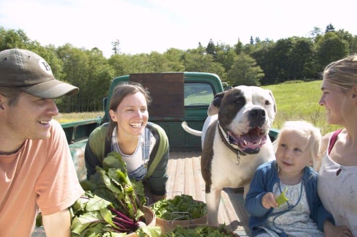 food waste solutions, Farm to Table, food waste in america, food waste, farmworker, reduce food waste