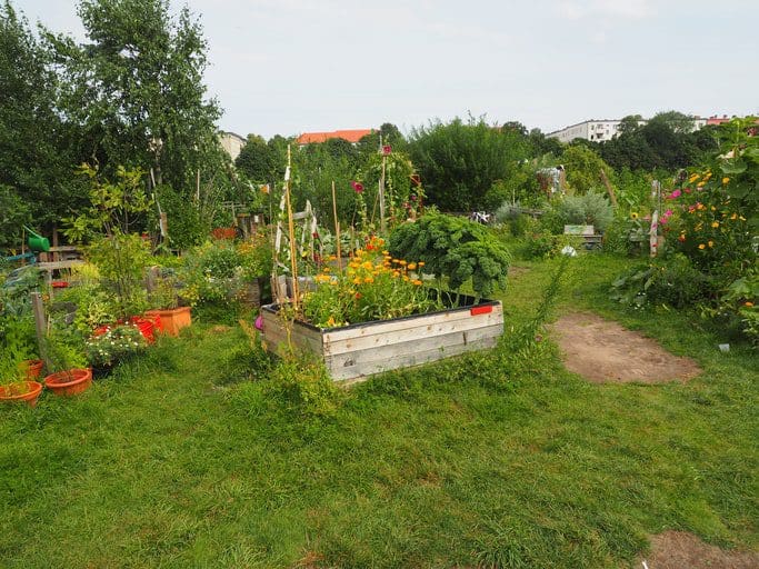 rebel gardening movement, Incredible Edible, self sufficient town,