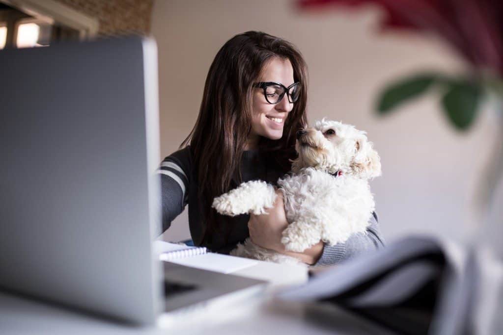 pets in the workplace, take your dog to work day