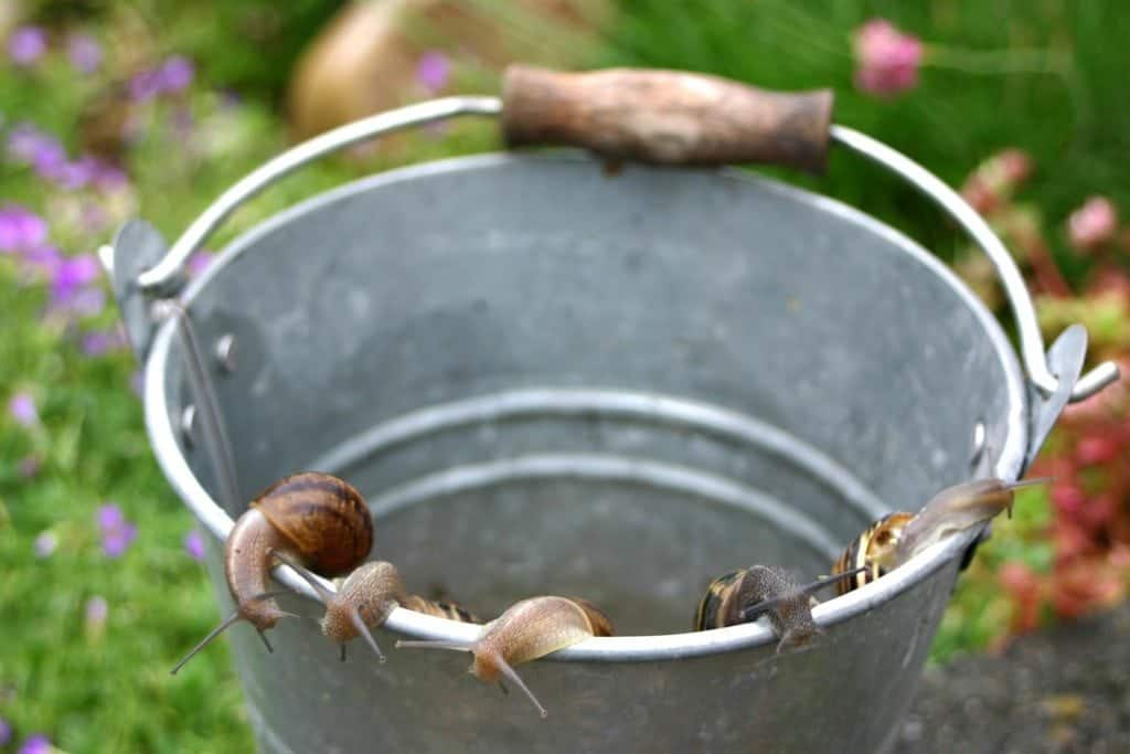 3 Handy Gardening Tips, Mindful Gardening