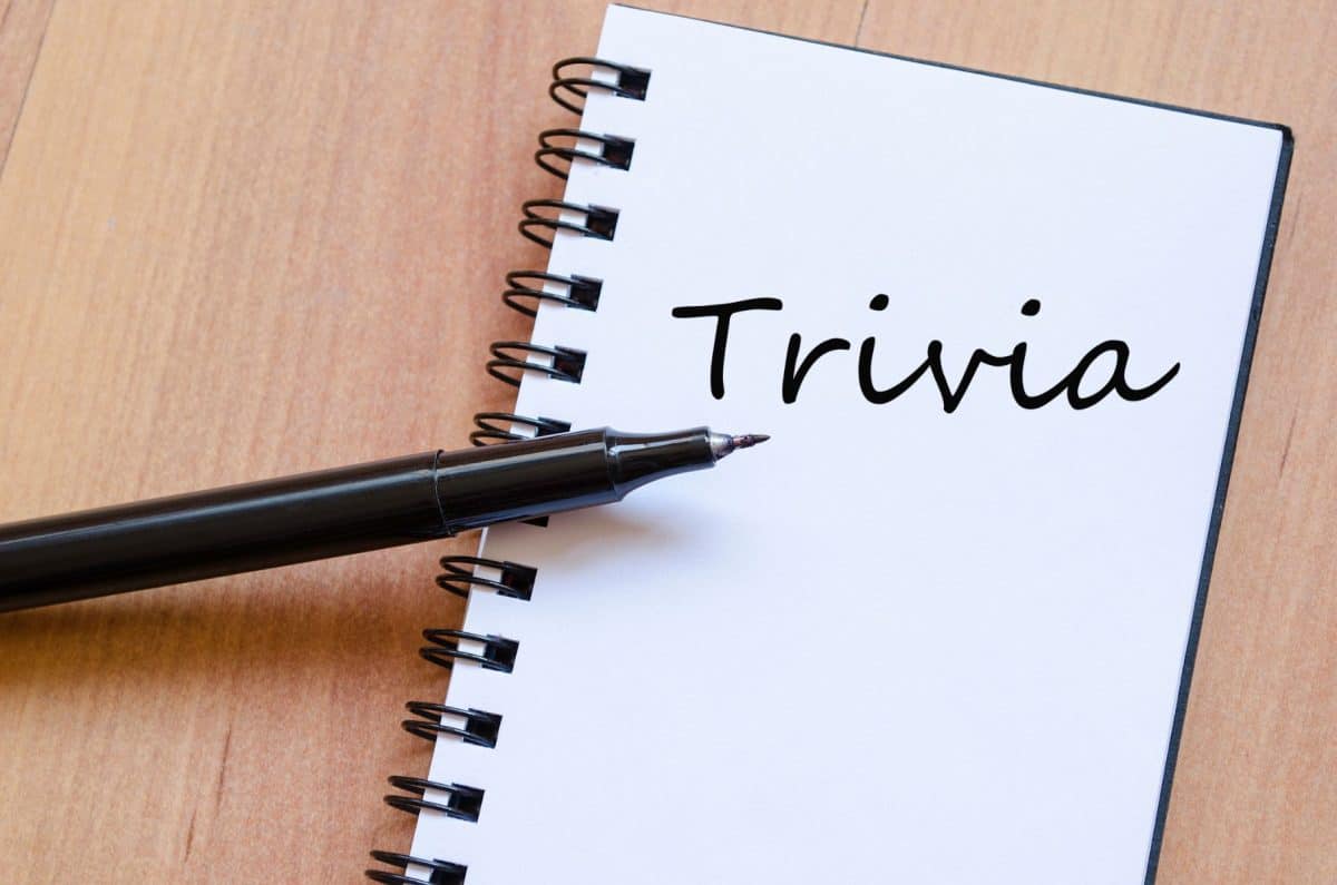 trivia day, trivia, trivia team