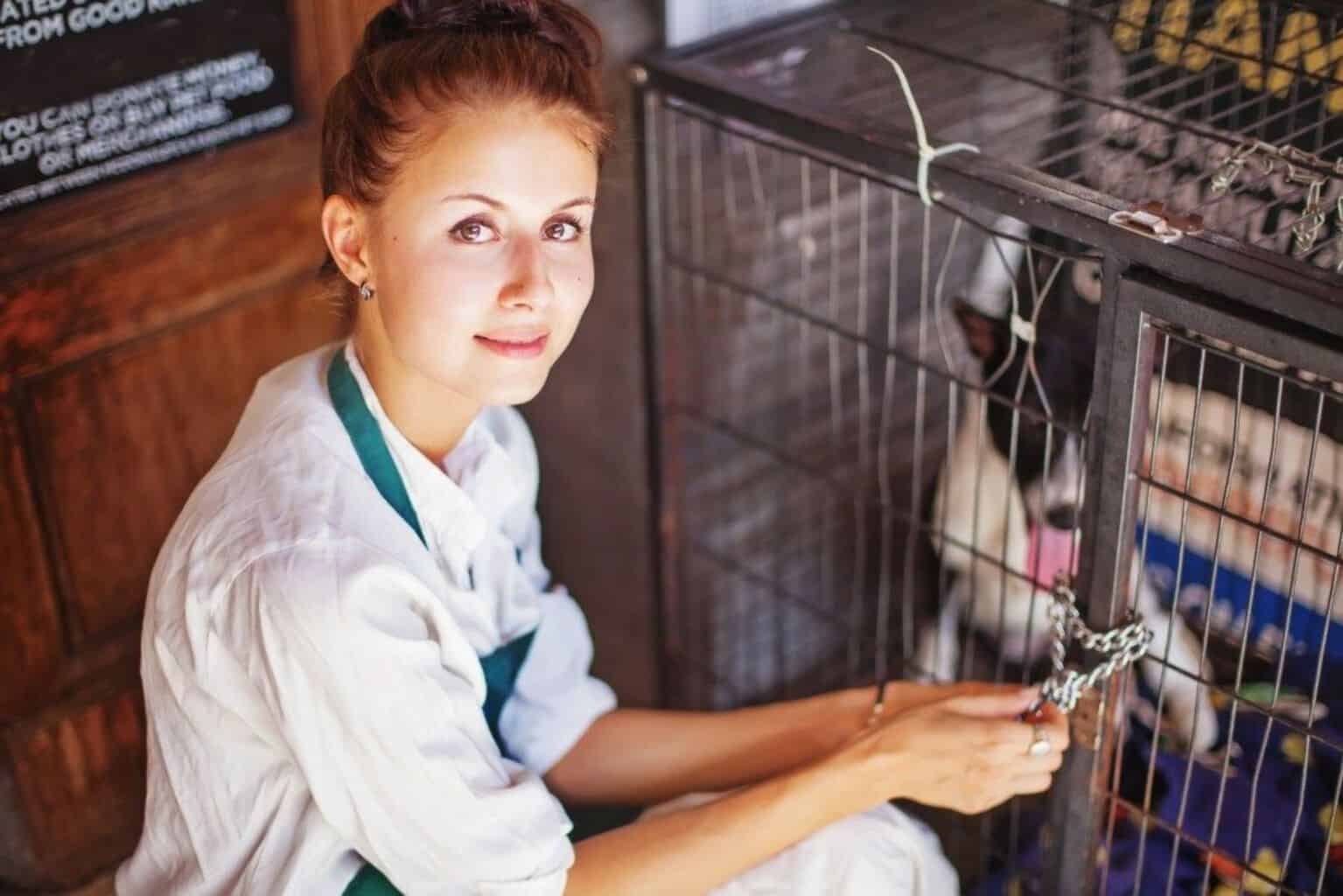 local animal shelters, animal shelter appreciation week,