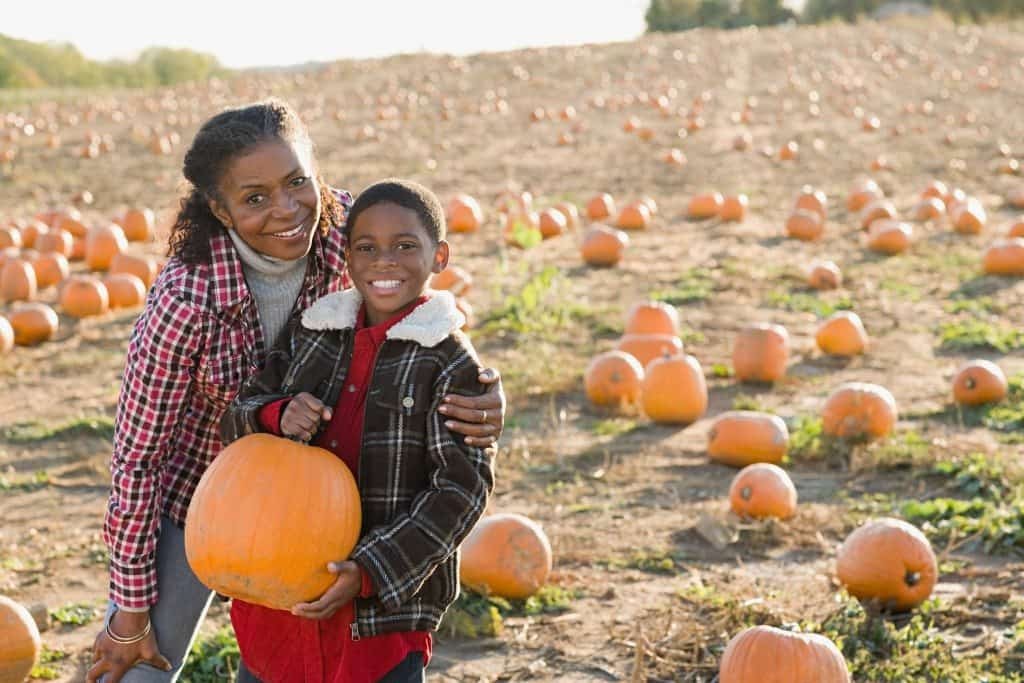 national pumpkin day, pumpkin day