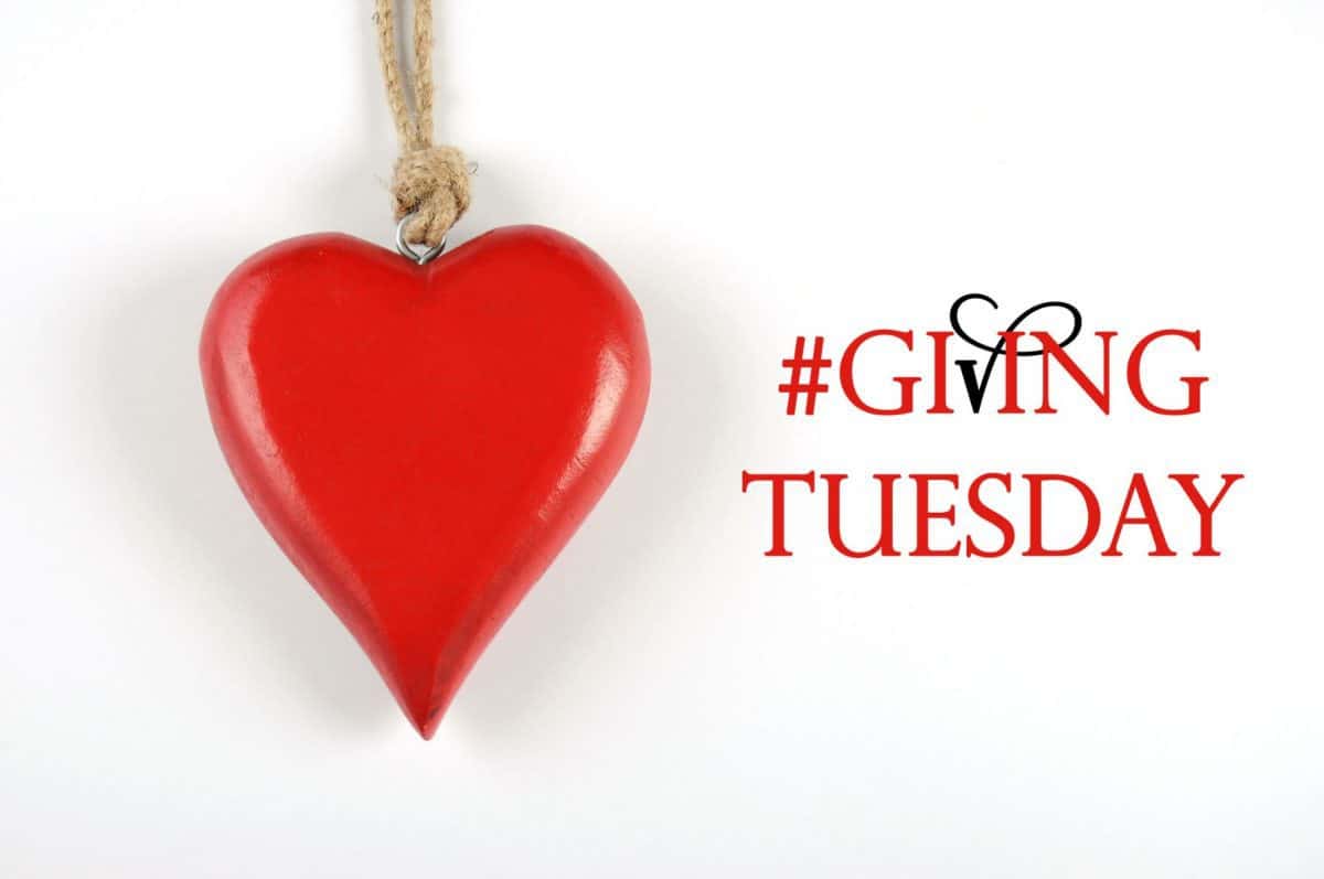 givingtuesday, day of giving, charity, volunteering, giving tuesday