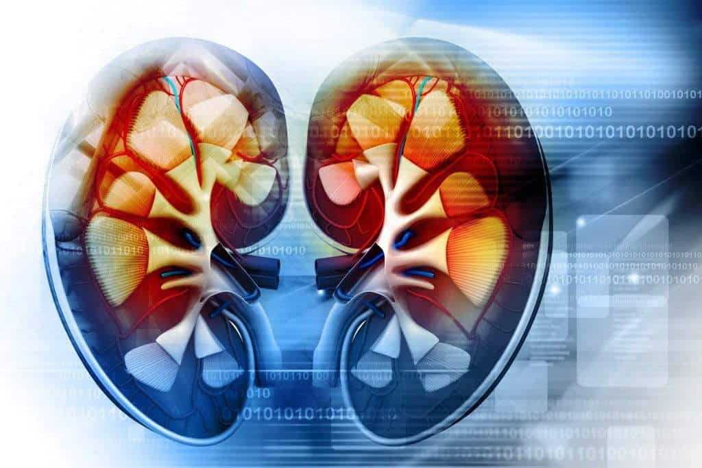 national kidney month, kidney month