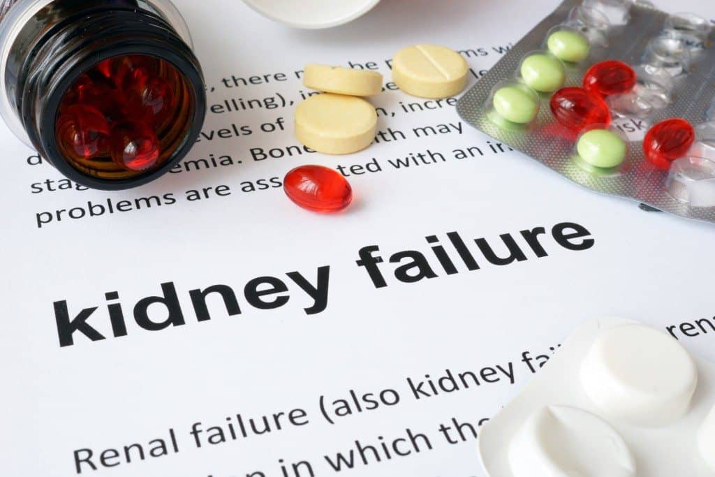 chronic kidney disease, kidney health, national kidney month