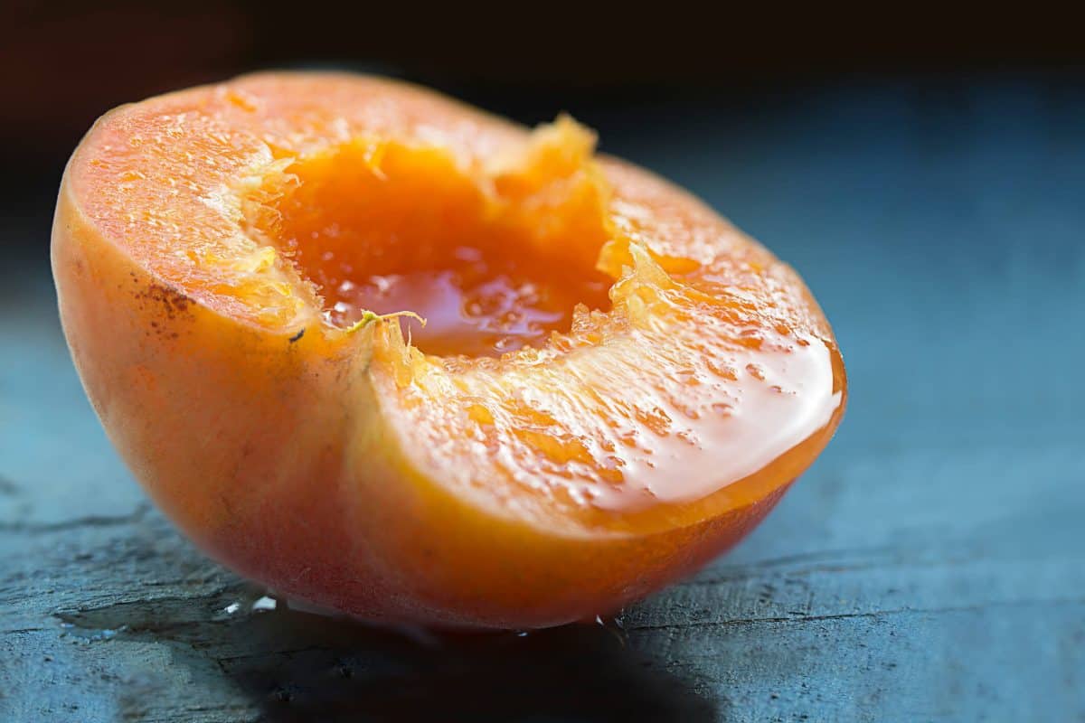 national apricot day, apricot day, apricot