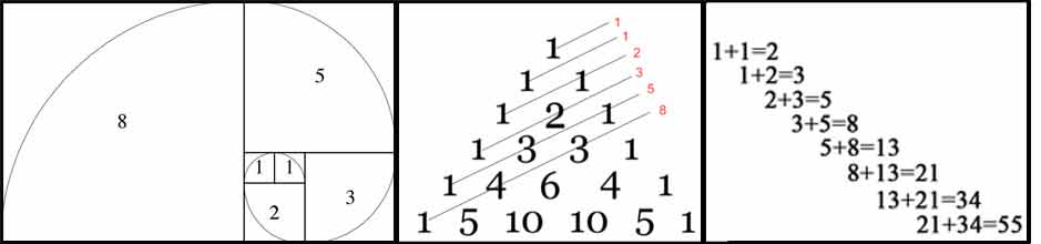 the fibonacci sequence