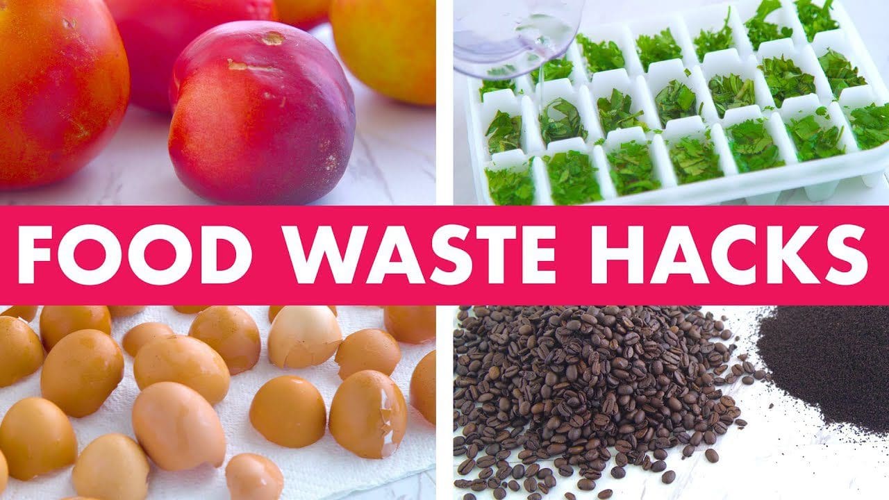 Amazing Food Waste Hacks! Mind Over Munch...