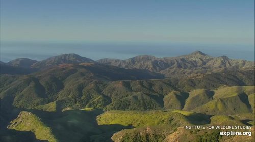 Live View from Mount Diablo in Santa Cruz