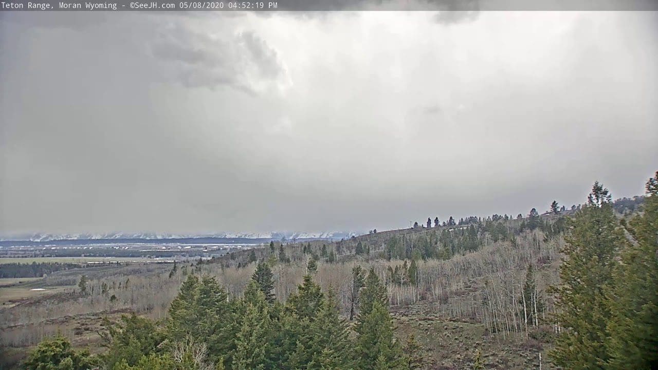 Live View Buffalo Valley in Grand Teton National Park