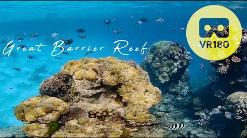 Enjoy a 360° Virtual Dive in Australia's Great Barrier Reef