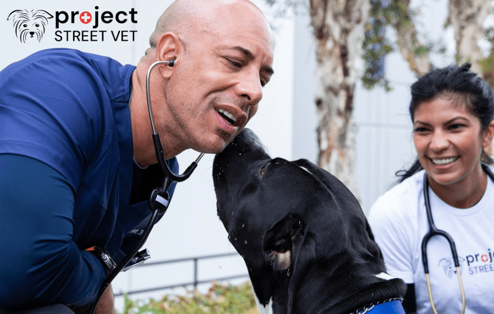 Project Street Vet